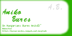 aniko bures business card